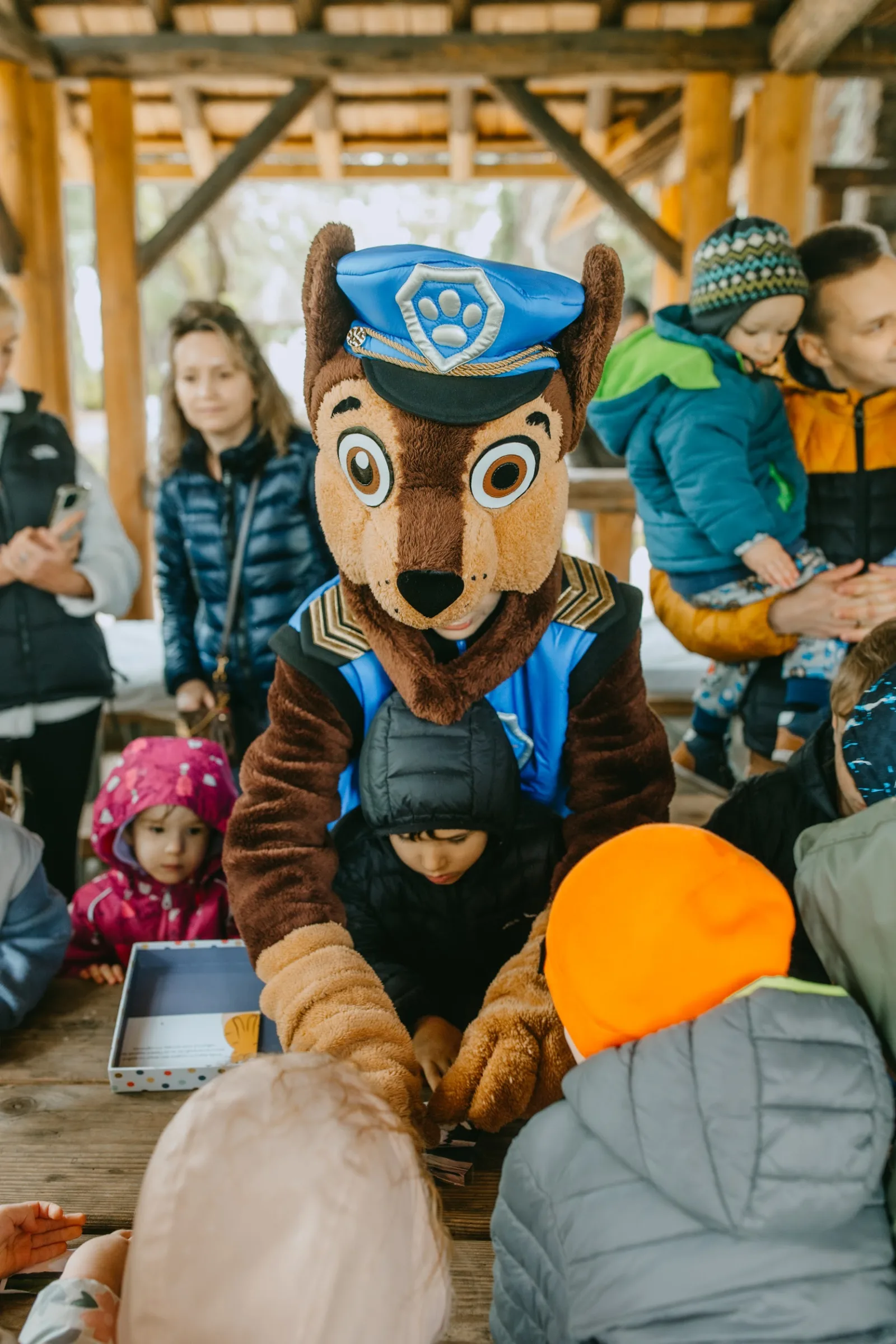 Paw Patrol Rescue photo 6