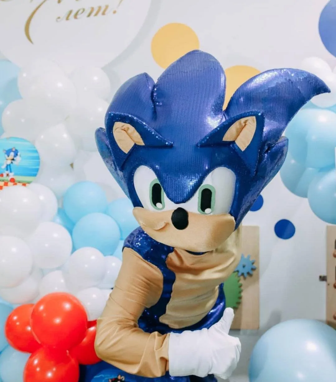 Sonic Adventures photo 2